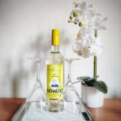 Kétágyas szoba - Hotel Sopianae Pécs